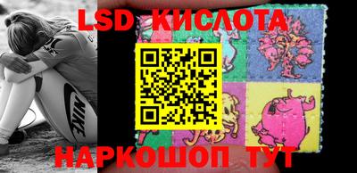 сатива Кандалакша