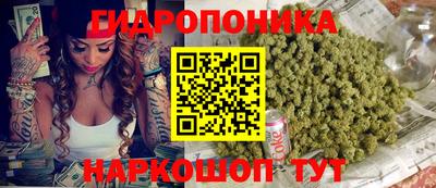 ALPHA PVP Канаш