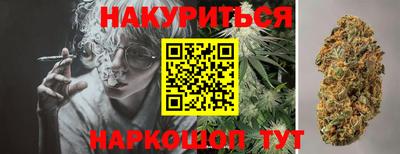 сатива Кандалакша
