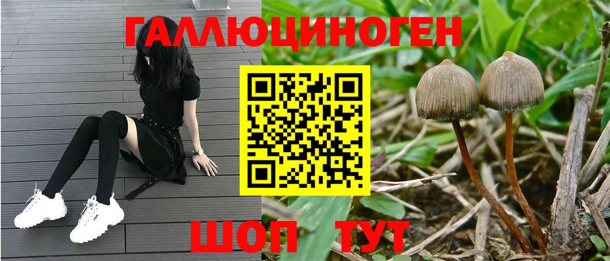 Галлюциногенные грибы Psilocybe  купить наркотик  Вход с VPN  Бирск  Псилоцибиновые грибы Psilocybe 